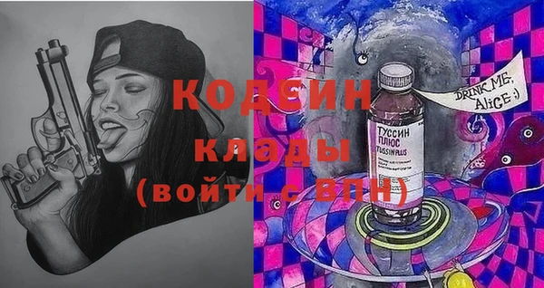 шишки Медногорск
