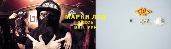 шишки Медногорск