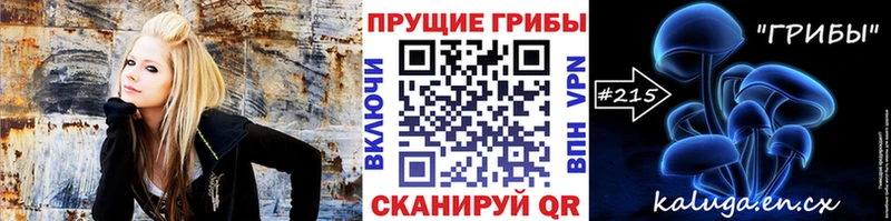 Галлюциногенные грибы Psilocybine cubensis  ОМГ ОМГ как зайти  Белоусово 